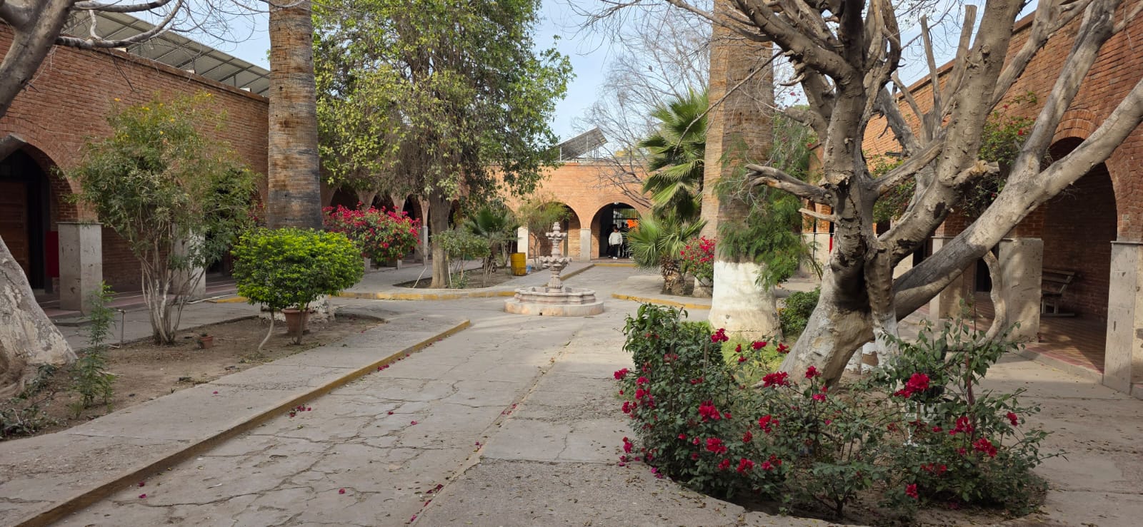 Patio Bateil